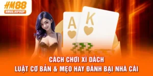 Cách Chơi Xì Dách - Luật Cơ Bản & Mẹo Hay Đánh Bại Nhà Cái