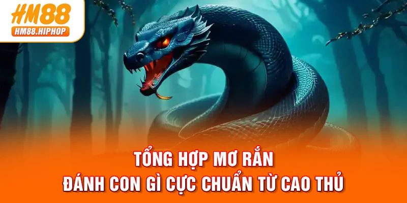 Tổng hợp mơ rắn đánh con gì cực chuẩn từ cao thủ